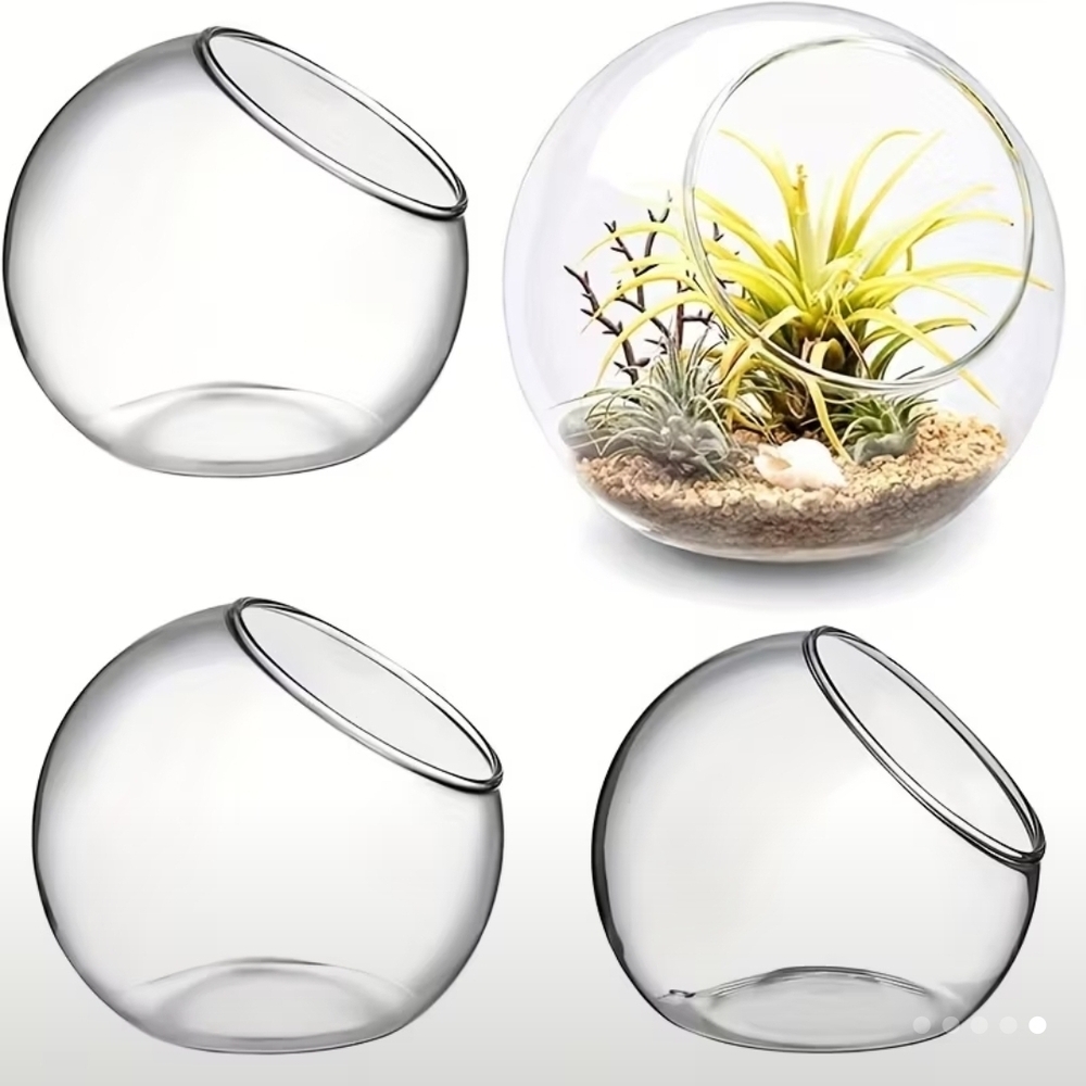 Glass Terrarium Bowl